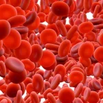 تعداد گلبول های قرمز خون بالا