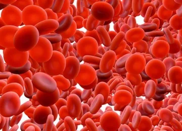 تعداد گلبول های قرمز خون بالا